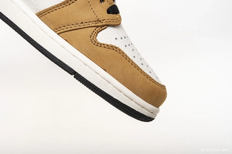 555088-700 of Rookie Year Jordan Air 1 the 0910